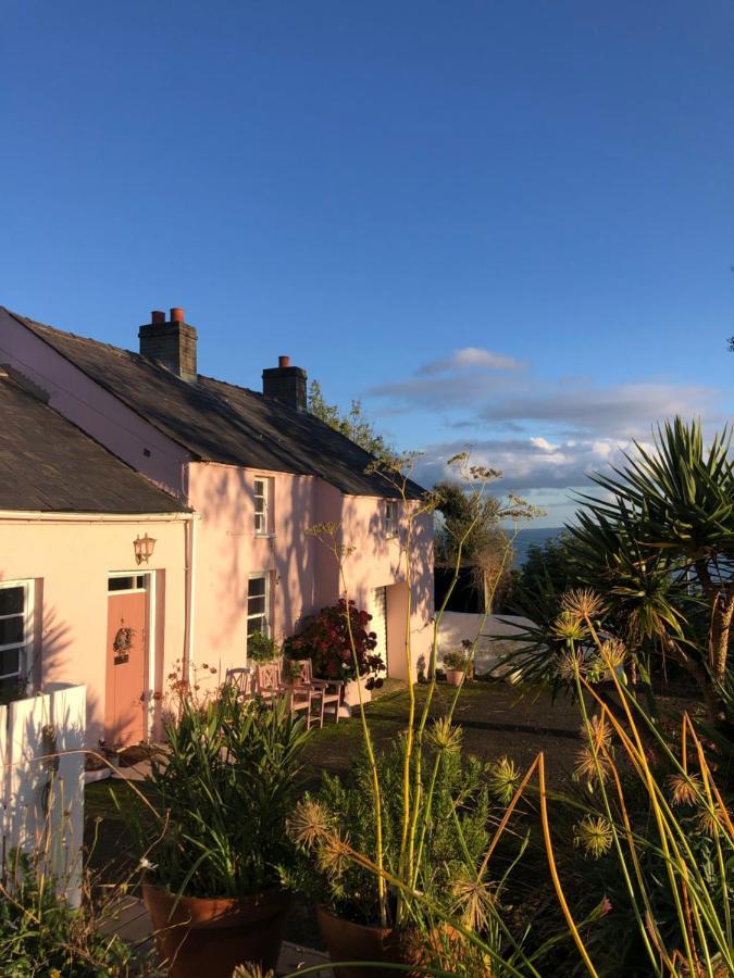 The Pink Cottage Upstairs Suite & Garden Summer Room Whitehead Екстер'єр фото