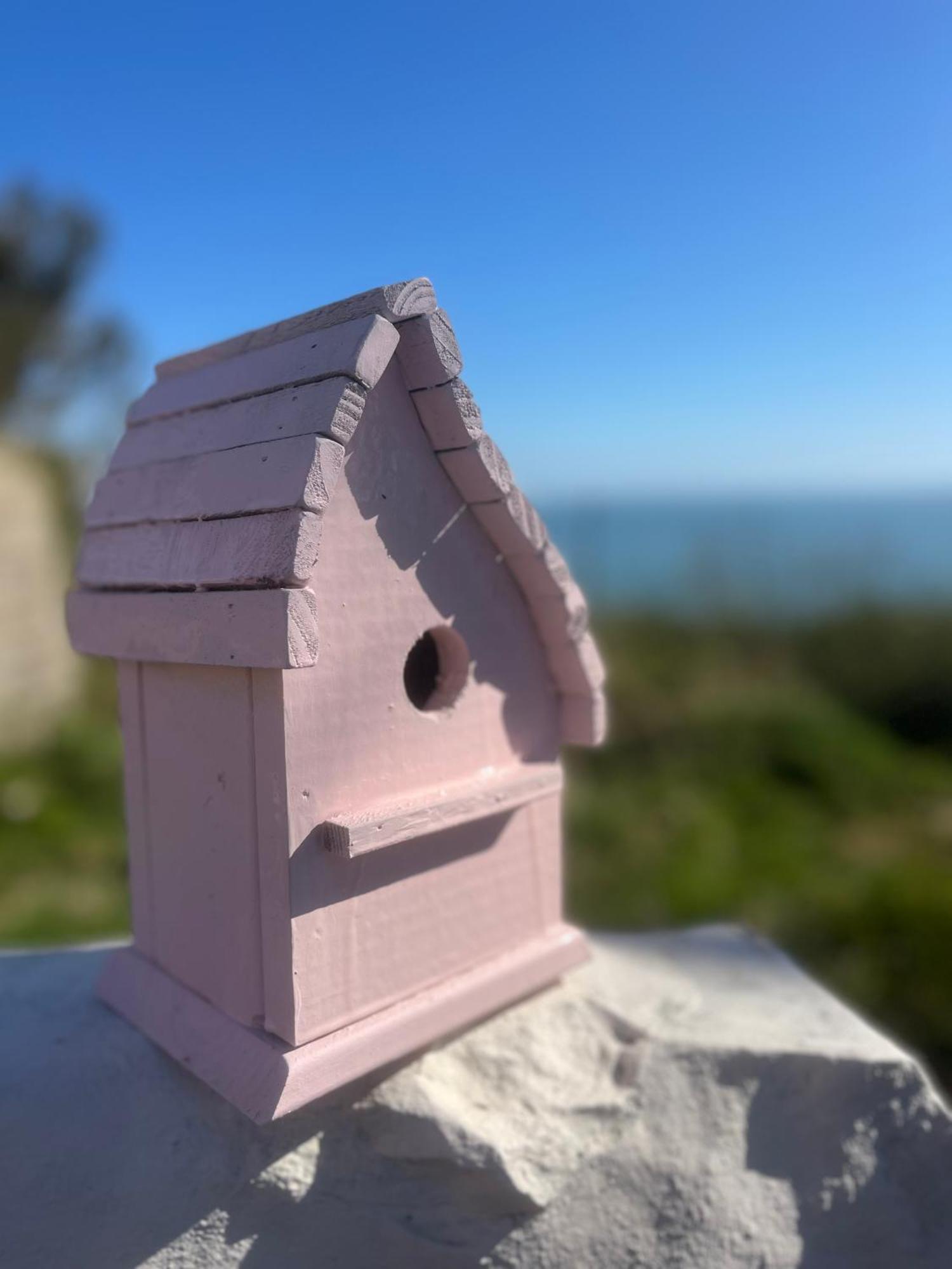 The Pink Cottage Upstairs Suite & Garden Summer Room Whitehead Екстер'єр фото